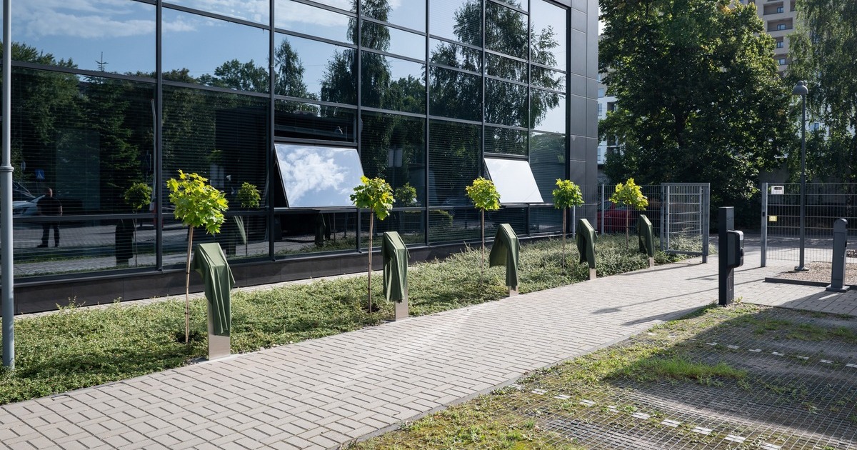 SoftServe заснувала Алею пам’яті у Львові на честь своїх загиблих співробітників