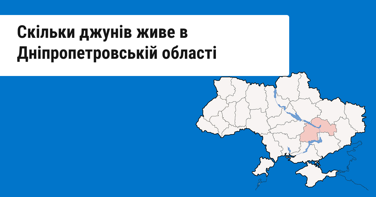 Лідери проти новачків: вражаючі результати дослідження IT-екосистеми Дніпра 2025 року
